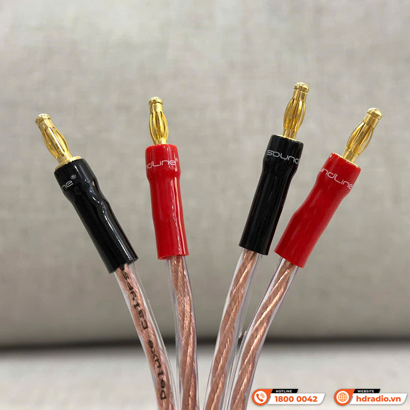 Cặp Dây Eagle Calypso 2X2.5 (dài 2.5M)-3