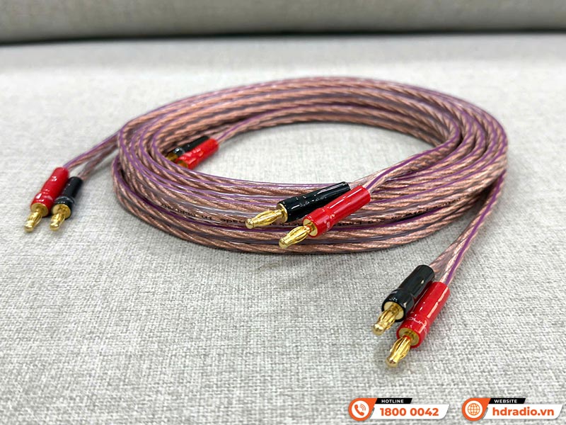 Cặp Dây Eagle Calypso 2X2.5 dài 2.5M Cặp Dây Eagle Calypso 2X2.5 dài 2.5M