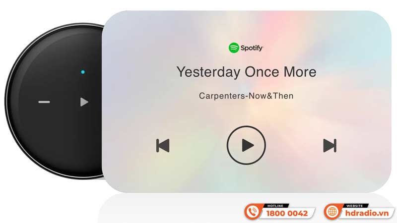 Điều khiển WiiM Mini