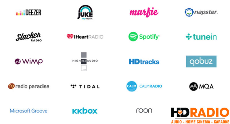 kho-dich-vụ-am-nhac-amply-da-vung-bluesound-vault-2