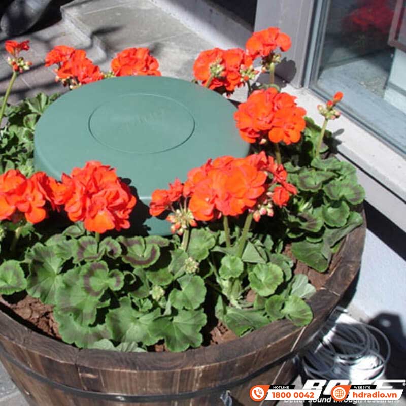 Củ Loa Bose FreeSpace 360P II