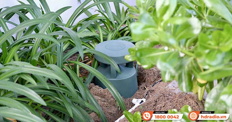 Ứng dụng của Loa Bose FreeSpace 360P II trong cuộc sống