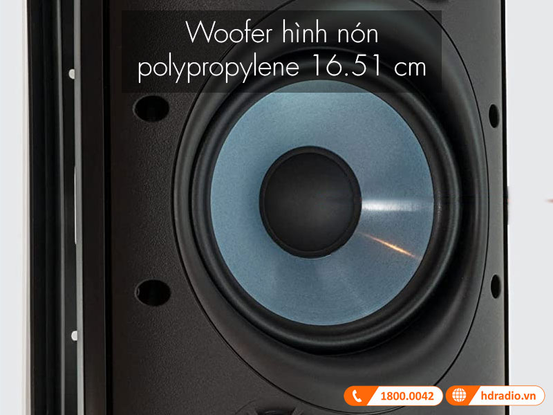 Cu Loa Polk Audio Atrium 8 SDI