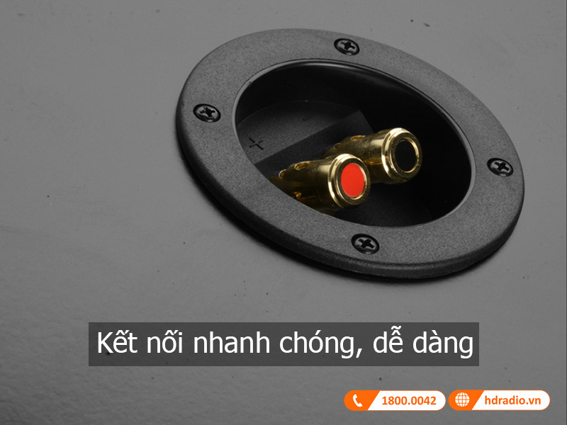 loa Polk Audio CSW100