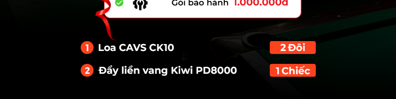 Dàn âm thanh quán Bi-a BA01