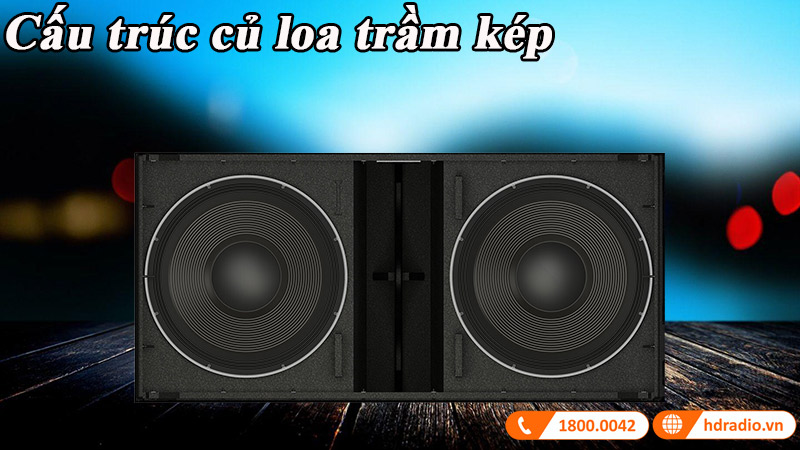 cau truc cu loa tram kep