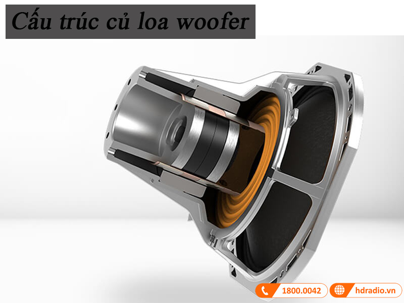 cau truc cu loa cao cap