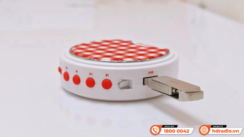 Máy trợ giảng Takstar E20 