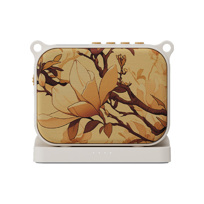 Máy trợ giảng Takstar E30 (Loa kèm mic có dây), Pin 15 giờ, Bluetooth, USB, Aux-3