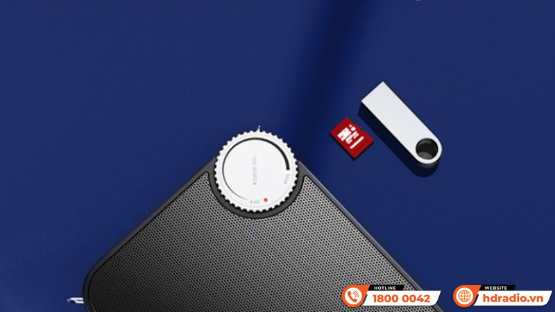  Loa trợ giảng Takstar E500W Dual Headset hai micro không dây cài đầu