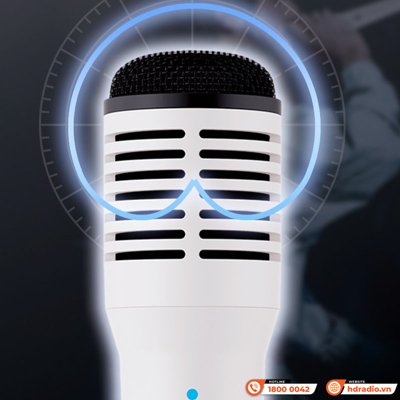 Micro không dây Takstar HM300W