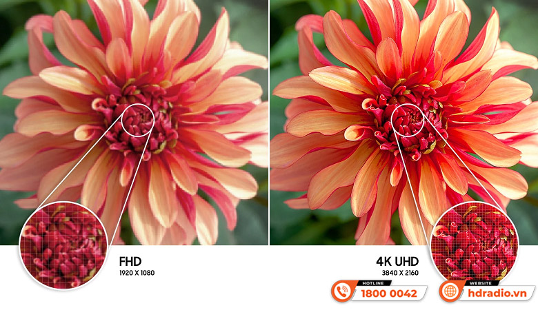 Màn hình tương tác 86 inch S86T09 TOMKO