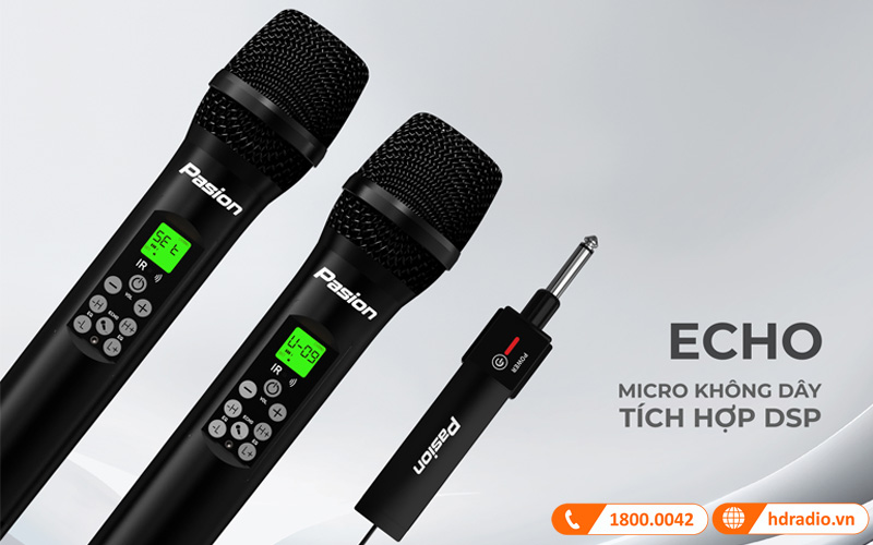 Micro không dây Paramax Pasion Echo