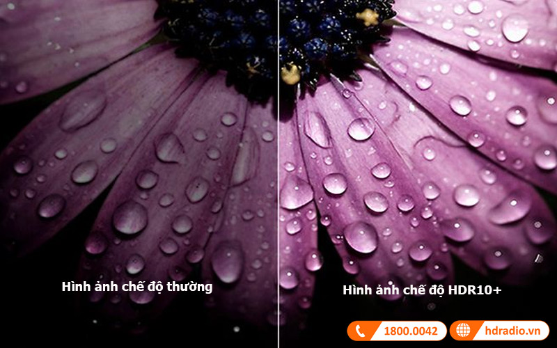 hỗ trợ HDR10+