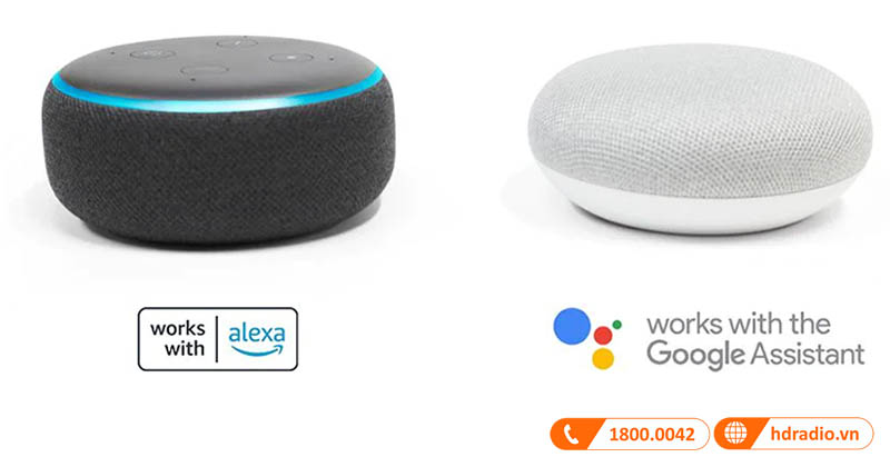 Amazon Alexa và Trợ lý Google (Google Assistant) trên MusicCast