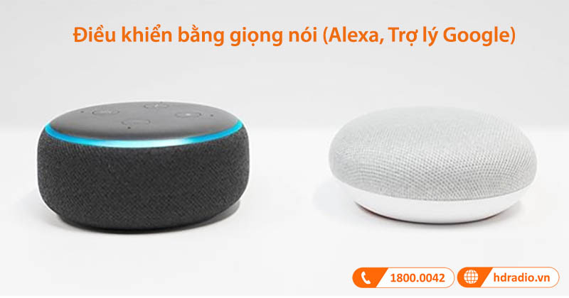 Điều khiển bằng giọng nói (Alexa, Trợ lý Google)