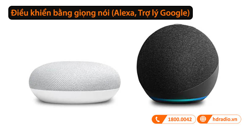 Điều khiển bằng giọng nói (Alexa, Trợ lý Google)