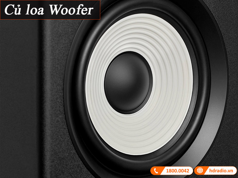 cu loa woofer
