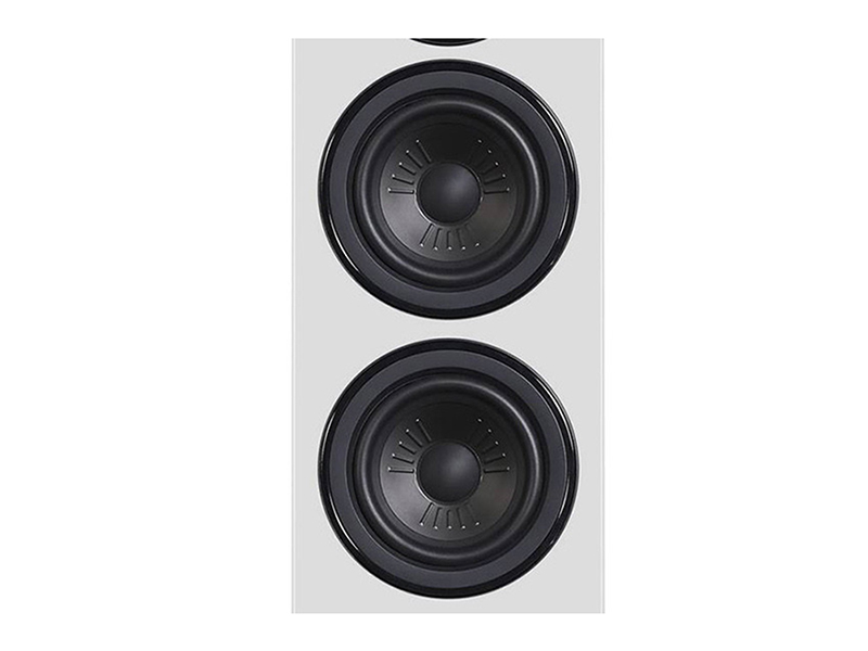 thiet ke cu loa bass/mid