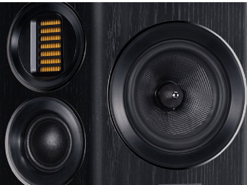 thiet ke cu loa tram