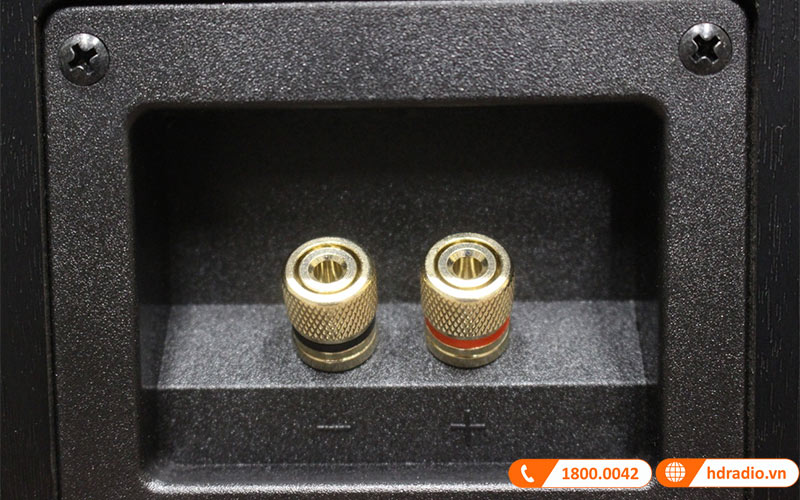 Bộ loa Yamaha NS P350 cọc kết nối loa surround