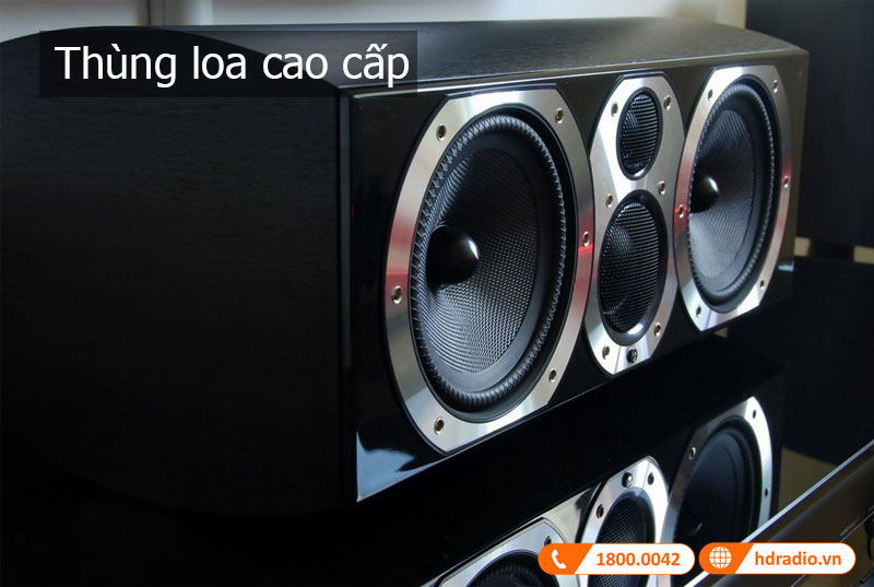 Thiet ke loa Diamond 10.CM