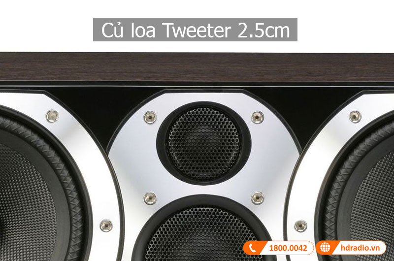 Am thanh loa Diamond 10.CM