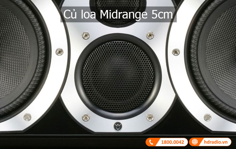 Am thanh loa Diamond 10.CM