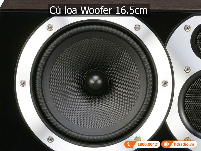 Am thanh loa Diamond 10.CM