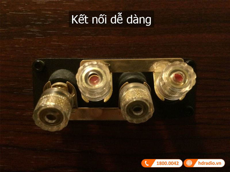 Ket noi loa Diamond 10.CM