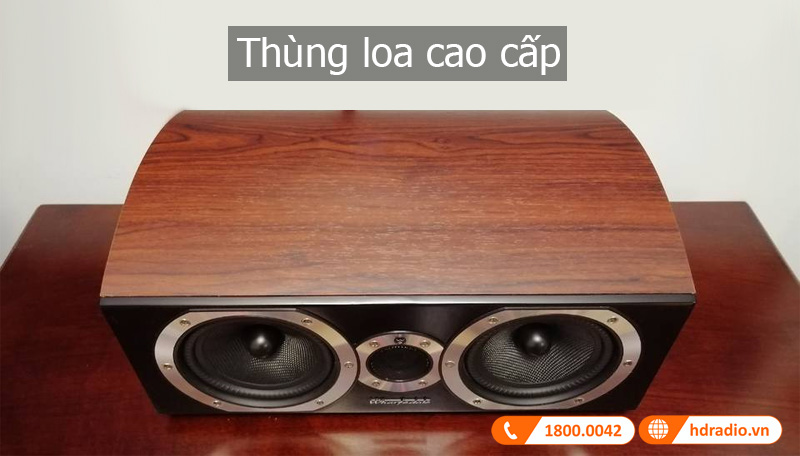 Thiet ke loa Diamond 10.CS