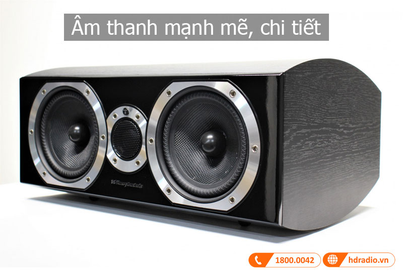 Am thanh loa Diamond 10.CS