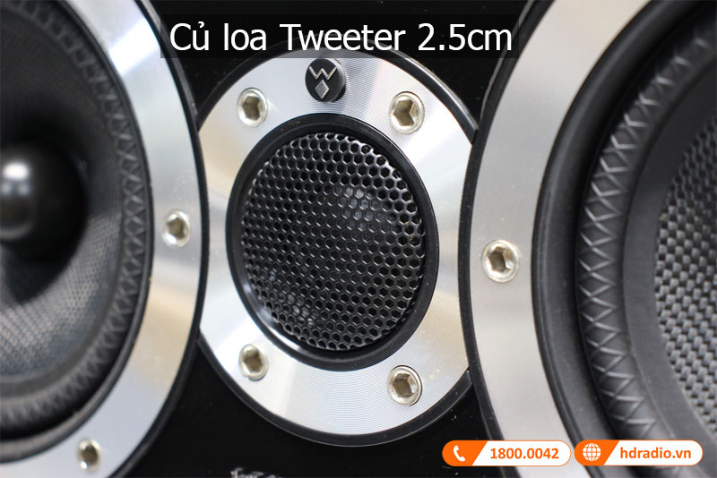 Am thanh loa Diamond 10.CS