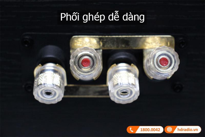 Phoi ghep loa Diamond 10.CS