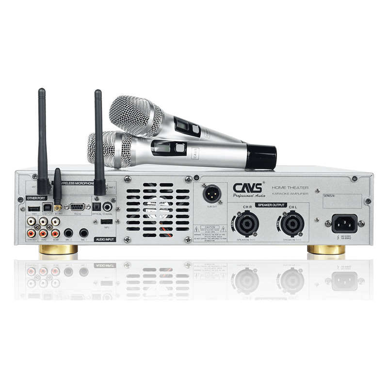 Amply CAVS AF38 kèm 2 micro không dây (2 kênh, 800W, Bluetooth)-5