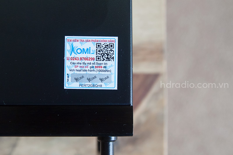 tem-vuong-chinh-hang