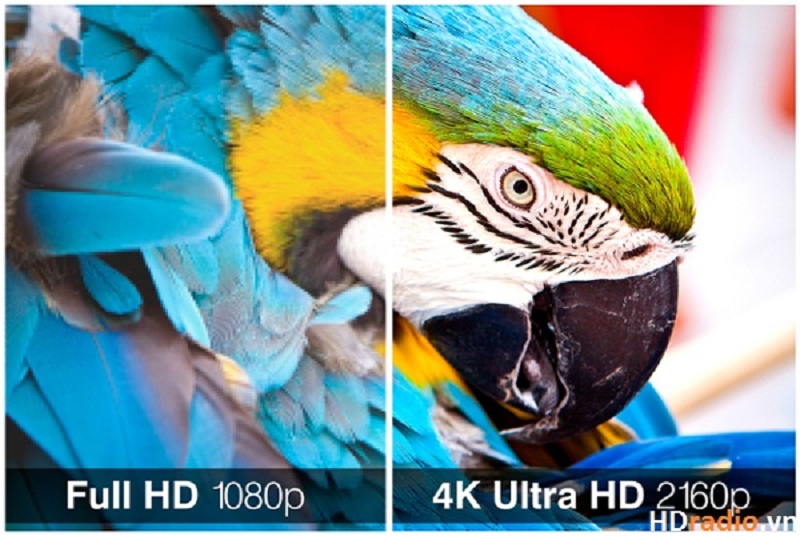 ĐẦU PHÁT HD HIMEDIA Q10 PRO hỗ trợ 4k