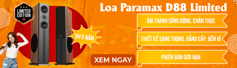 Loa karaoke Paramax D88 Limited 