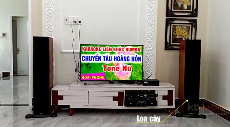 loa cây karaoke