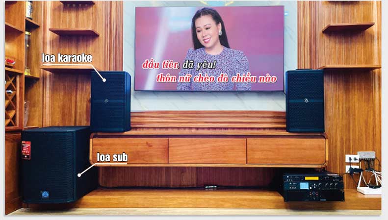 loa karaoke gia đình