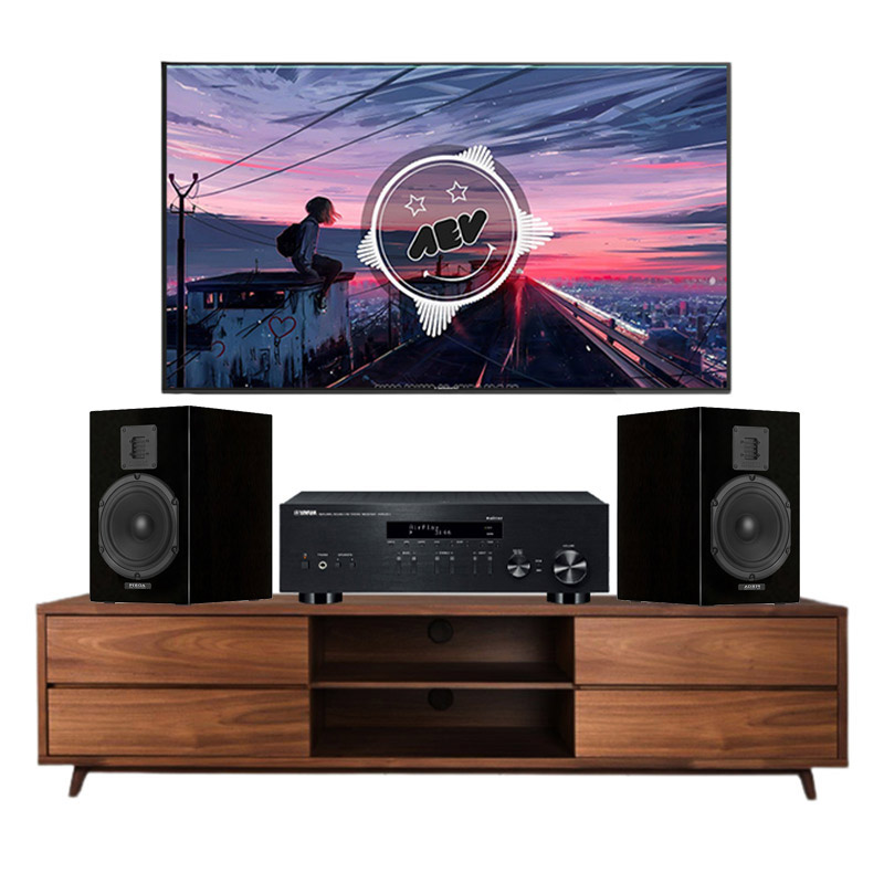 Dàn âm thanh nghe nhạc mini Piega HD10