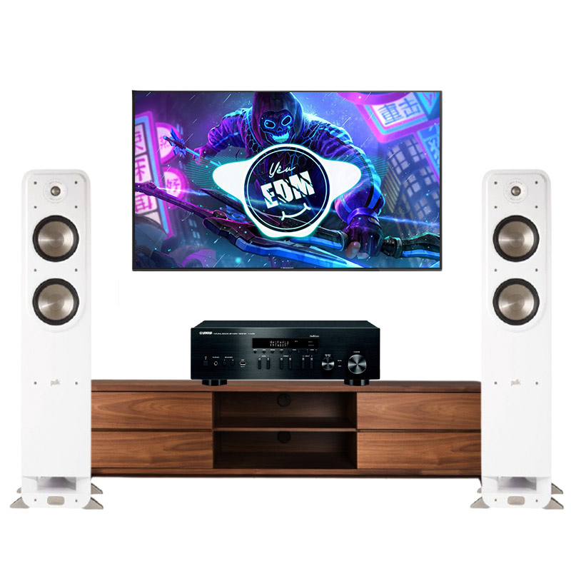 Dàn âm thanh nghe nhạc giá rẻ Polk Audio HD37