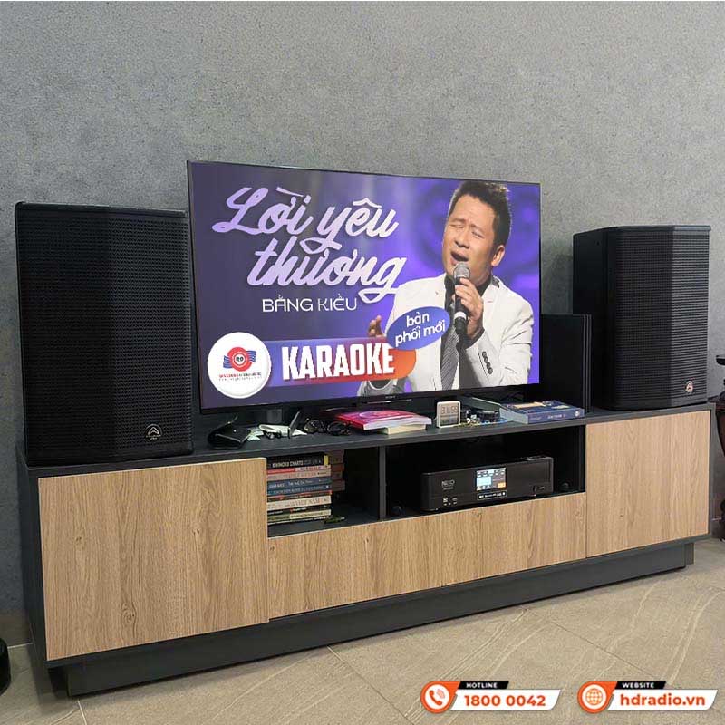 Đẩy liền vang Neko AK3500 (450Wx2 Kênh, Bluetooth, Optical, DSP Chống hú, 2 tay mic không dây)-15