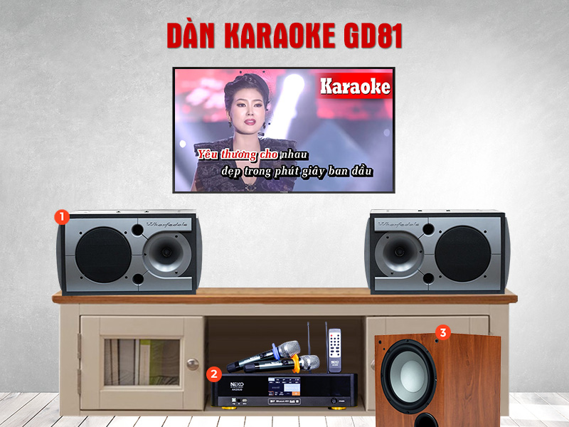 Dàn karaoke gia đình GD81 Dàn karaoke gia đình GD81