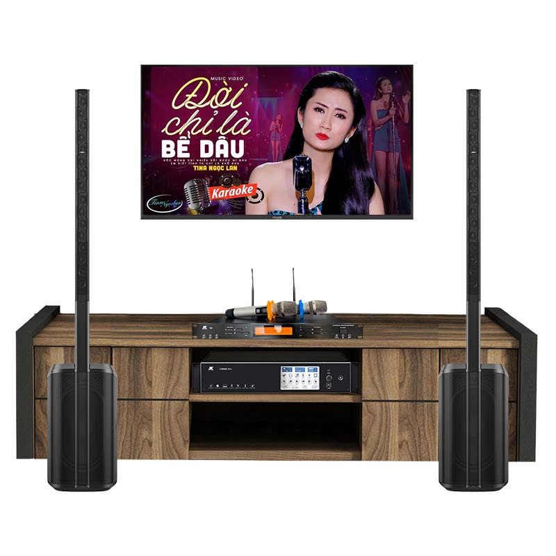 Dàn Karaoke Bose HK11 ( Bose L1 Pro16, Vang số, Micro không dây )