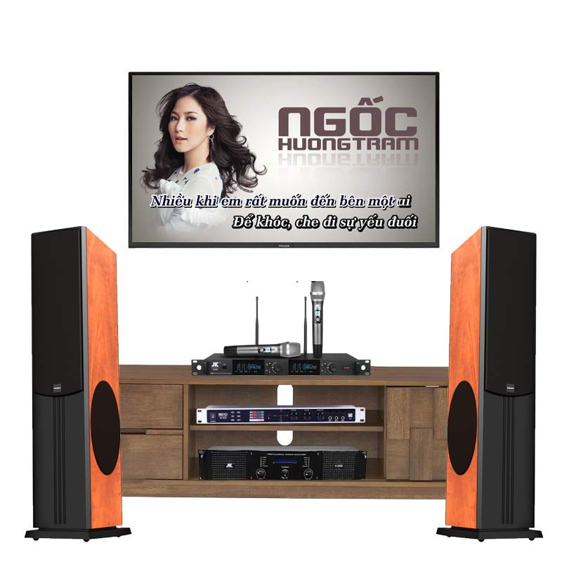 Dàn karaoke Paramax HK20 (Paramax D88 Limited, Neko DK1000, Công suất, Micro K300)