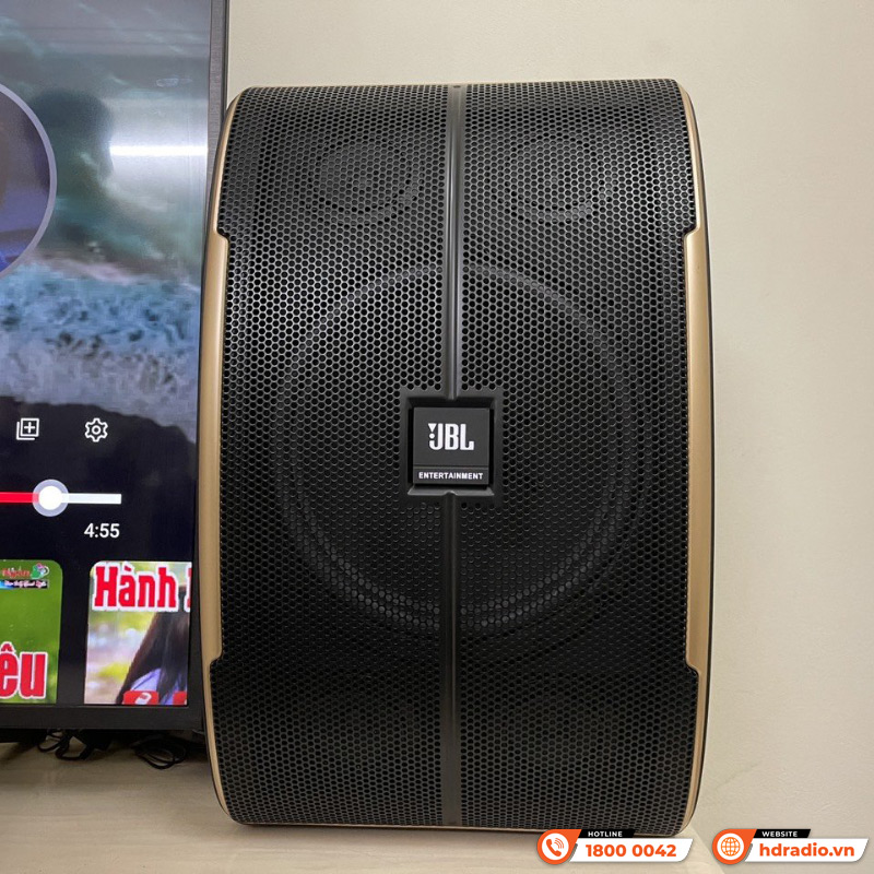 Dàn karaoke JBL HK22 (JBL Pasion 12, JK Audio X3000, Công suất, Micro)-13