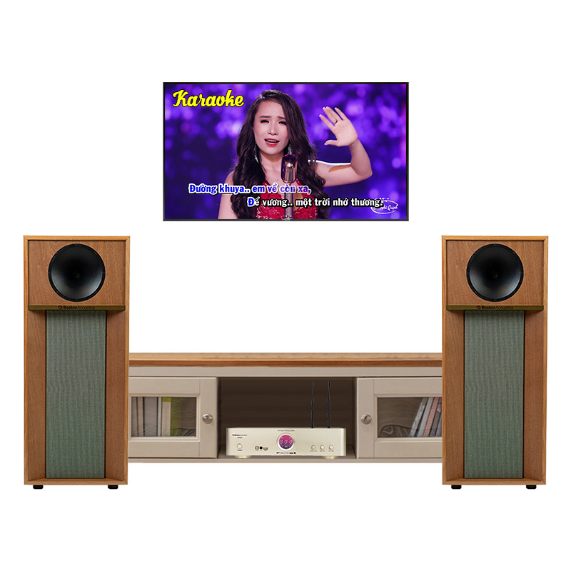 Dàn nghe nhạc và hát karaoke NK52 (Boston Acoustics The Horn 1210, S450)