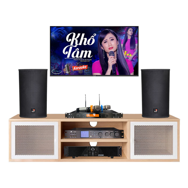 Dàn Karaoke Cao Cấp HDR30 ( Tecnare E10  + Công suất + Vang số + Micro không  dây )