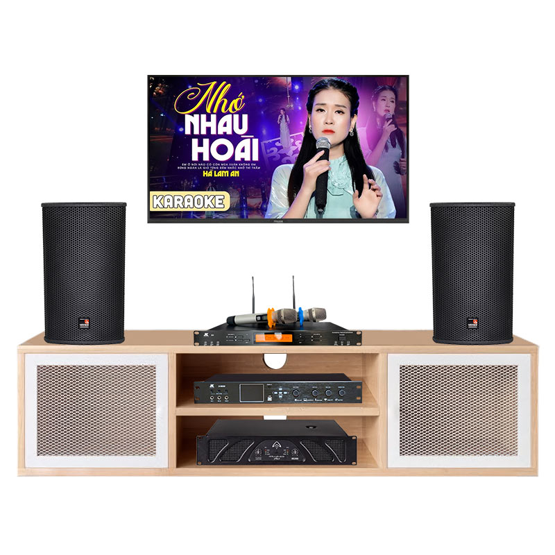Dàn Karaoke cao cấp HDR31 ( Tecnare E10  + Công suất + Vang số + Micro không  dây )